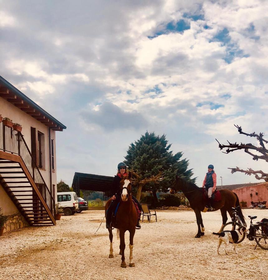 B&B El Ranxo Franciach エクステリア 写真